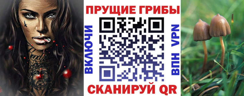 Псилоцибиновые грибы мухоморы  Купить где  Кирс 