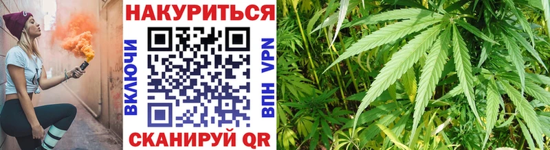 Шишки марихуана Amnesia  Купить где  Кирс 